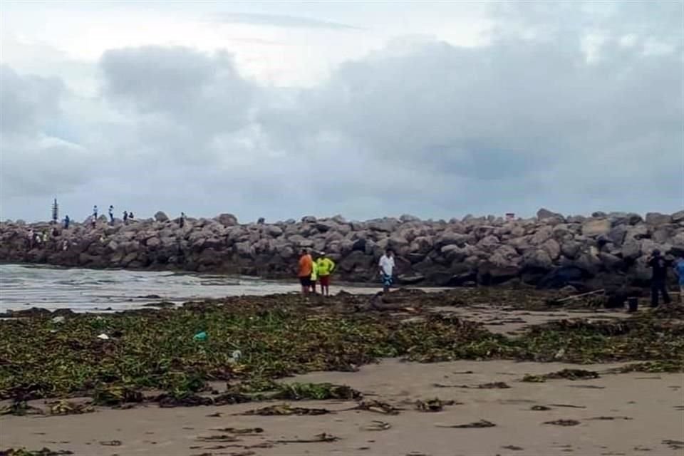En la Playa Miramar también se registra la presencia de lirio acuático.