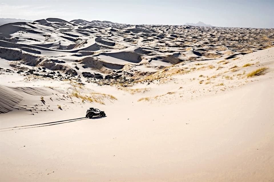 Dunas de Samalayuca.