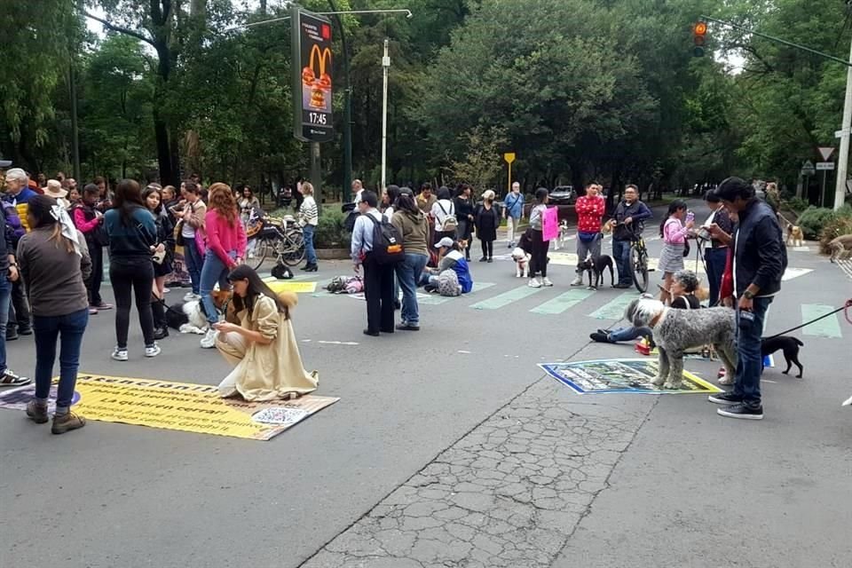 Vecinos realizaron una protesta para exigir que se abra el parque canino en Gandhi.