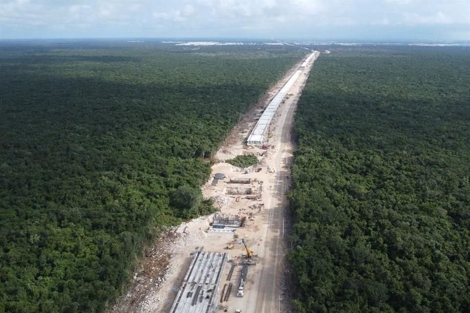 Sheinbaum publicó decreto para expropiar, por causa de utilidad pública, 23.4 hectáreas para obras en cinco tramos del Tren Maya.