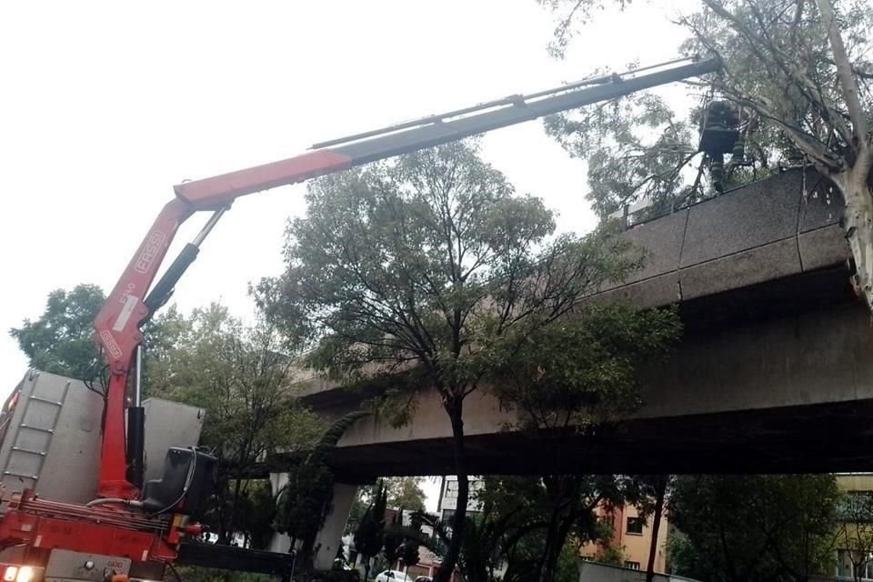 La caída de las ramas de Un árbol, por las fuertes lluvias, provocó que el servicio en la Línea 4 fuera momentáneamente interrupido.