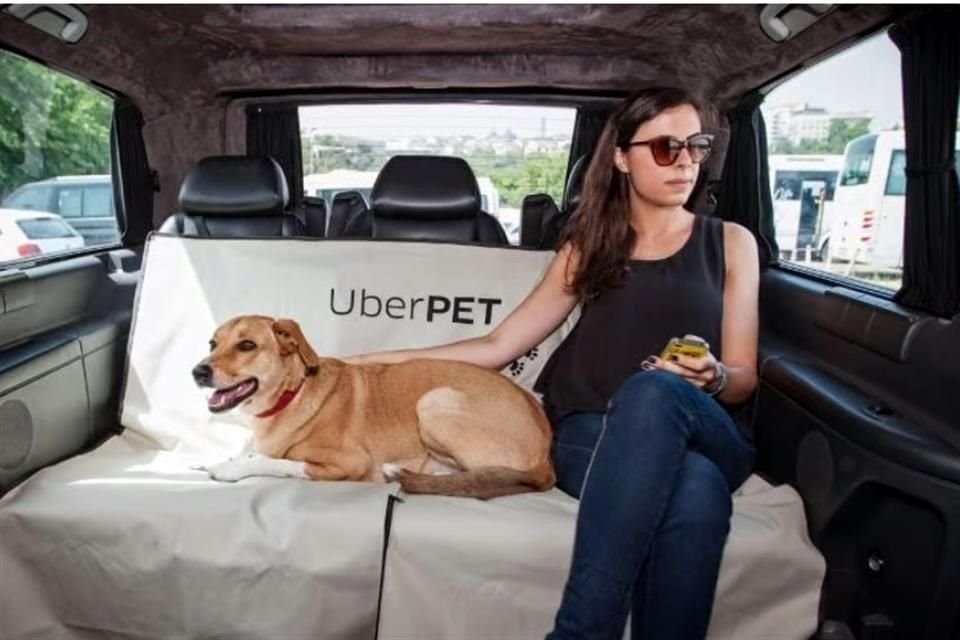 El servicio de Uber para viajar con mascotas estará primero disponible en la Ciudad de México.