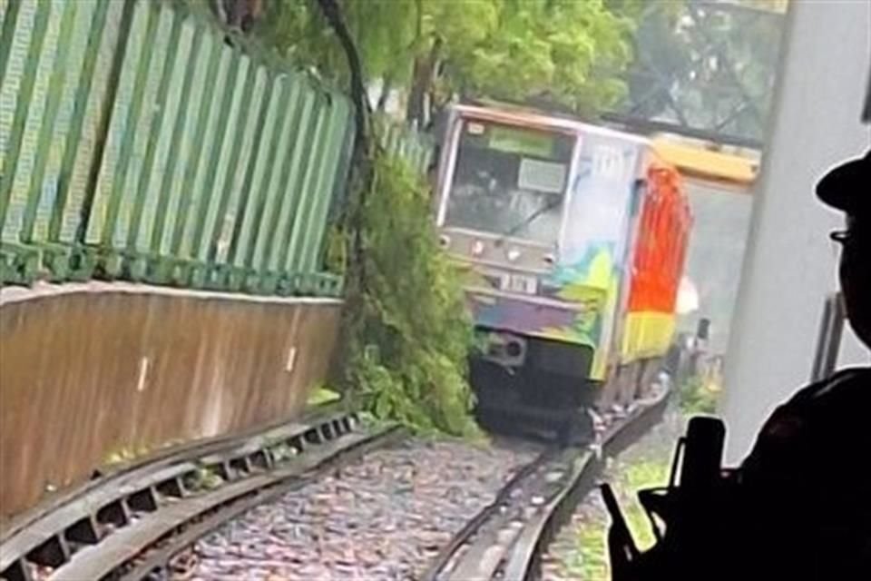 Entre la intersección del Metro Deportivo 18 de marzo, pasando Poniente 128, a la estación Potrero, una rama cayó a las vías.