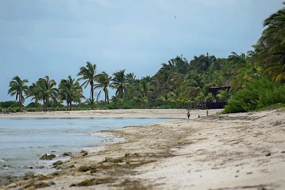 Playa 'Alito' nació en 2014 cuando Alejandro Moreno compró un terreno de 305 mil metros cuadrados en la zona costera de Champotón.