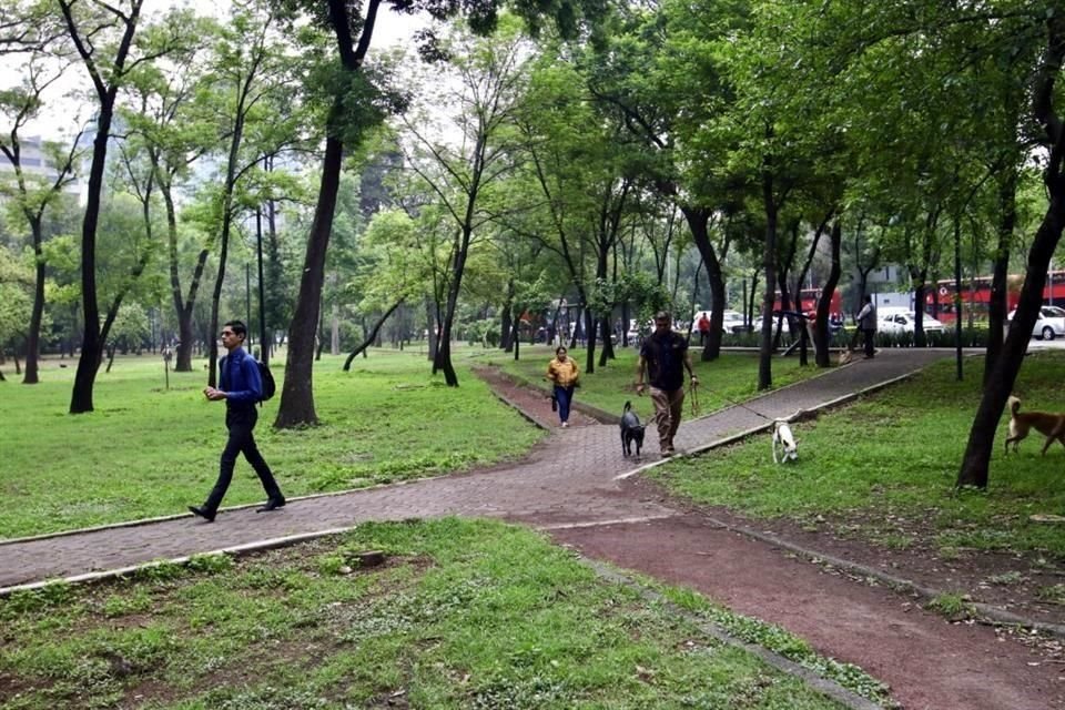 Vecinos de Polanco plantearon abrir una vialidad de 450 metros dentro del Parque Líbano.