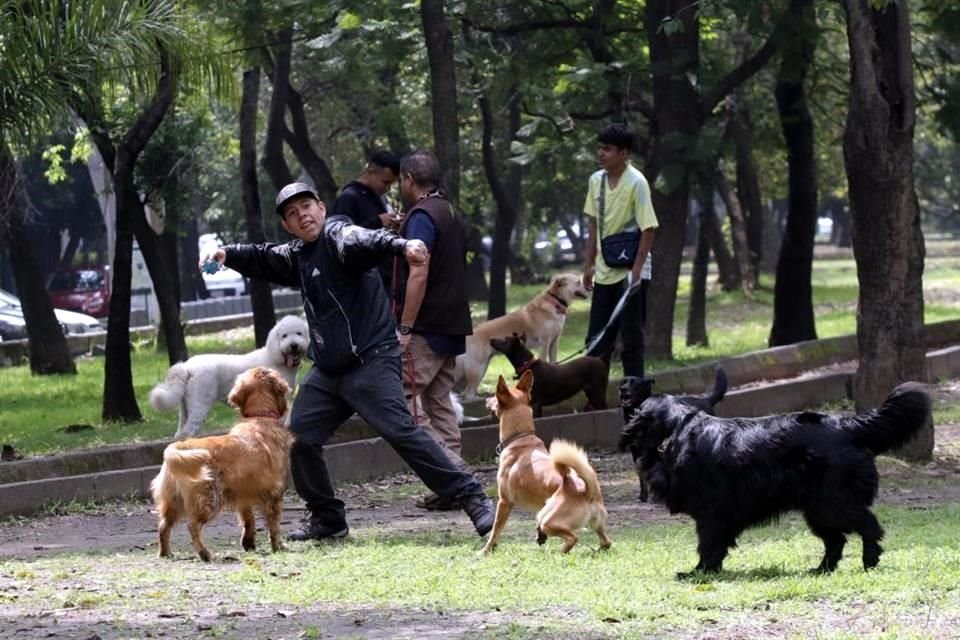 El Parque Líbano es un área verde con 5.5 hectáreas de superficie y es parte del Bosque de Chapultepec.