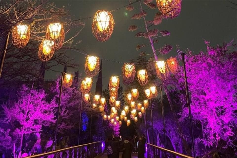 La zona inicial del recorrido está adornada con luces flotantes de colores cálidos.