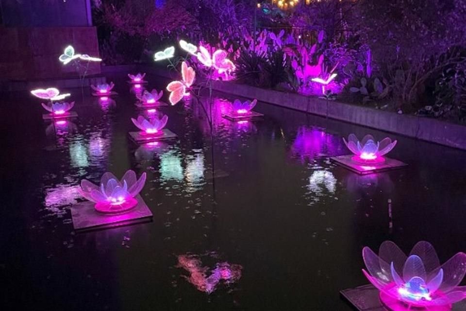 Las zonas de agua también cuentan con adornos que provocan un efecto de reflejos muy llamativo.