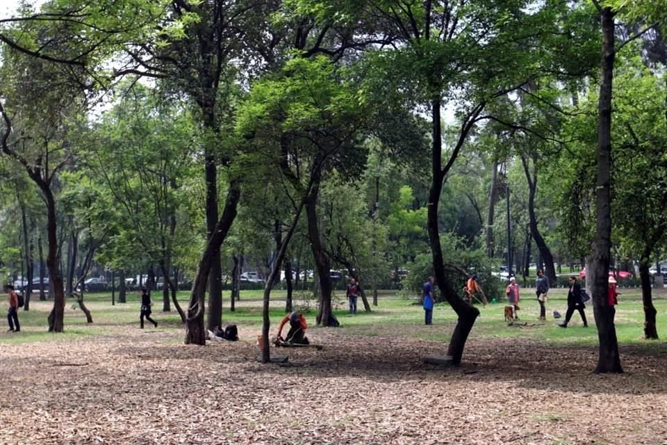 La propuesta contempla abrir un paso vehicular por enmedio del Parque República de Líbano en Polanco.