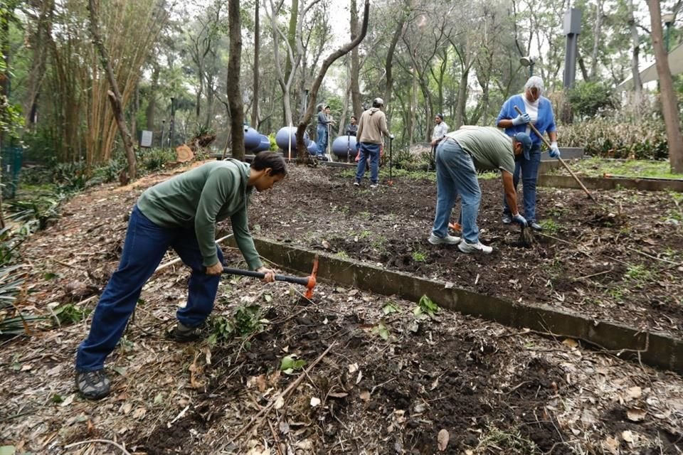 Vecinos realizaron obras para incorporar nutrientes al suelo y mejorar la calidad de la tierra.