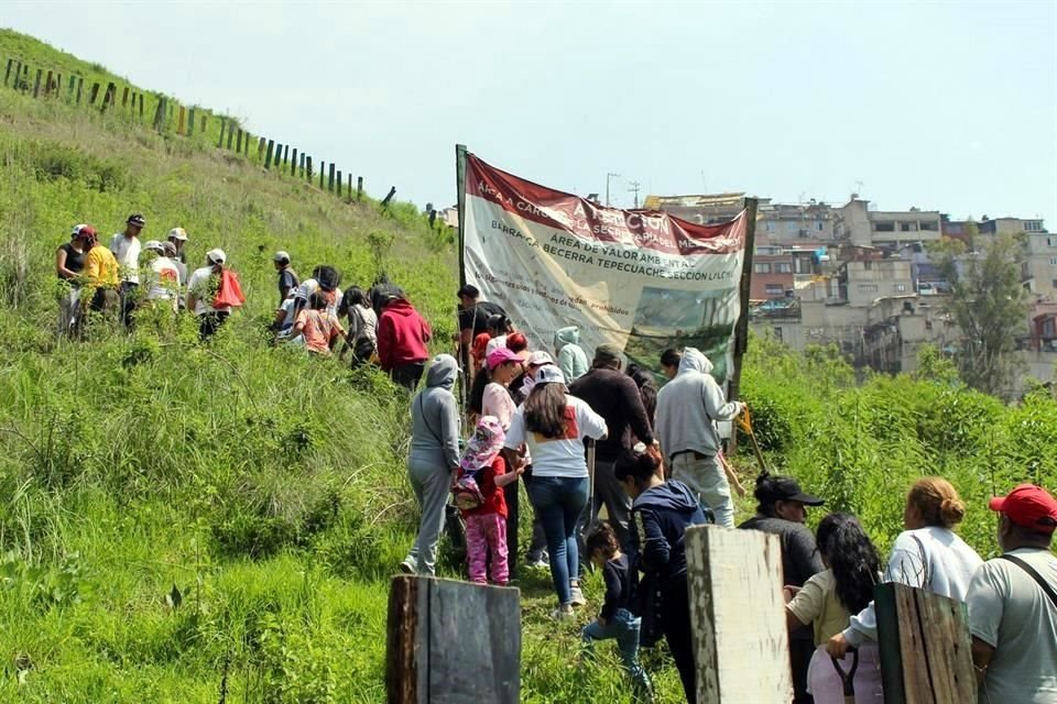 Se prevé que las barrancas sean reforestadas con especies endémicas.