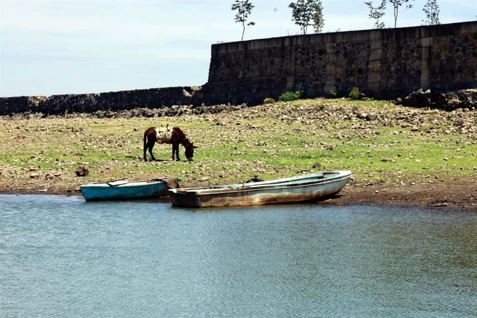 Aunque el Sistema Cutzamala aumentó 43 mil millones de litros en el último mes, aún está por debajo de los niveles históricos.