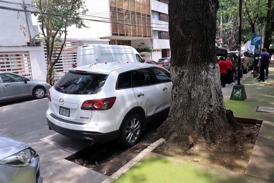 La Semovi canceló tres cajones de estacionamiento que dañaban árboles en la Calle Goya, en Benito Juárez.