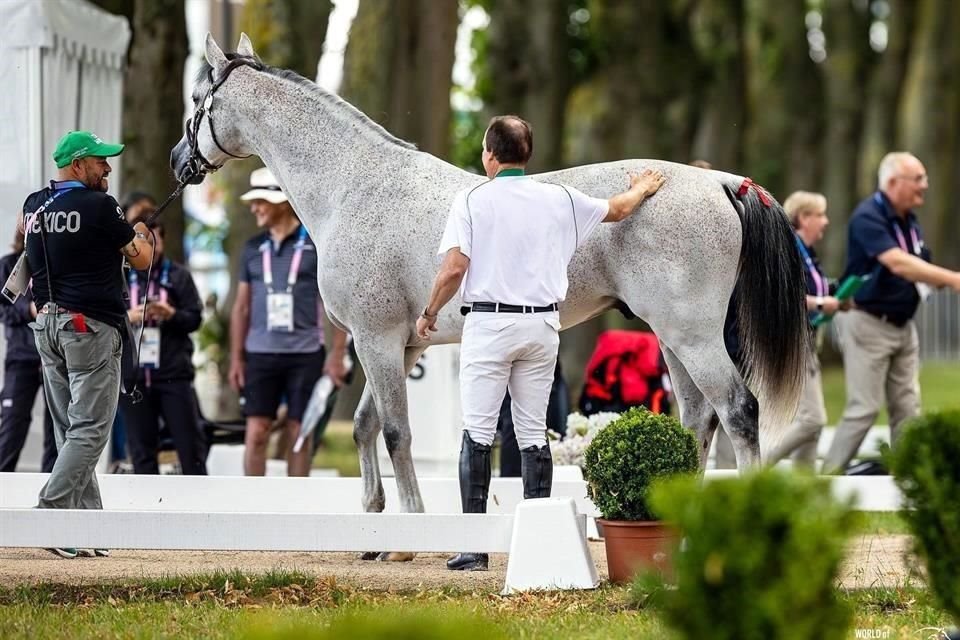 Los caballos en París 2024 tienen a un cuidador las 24 horas del día.