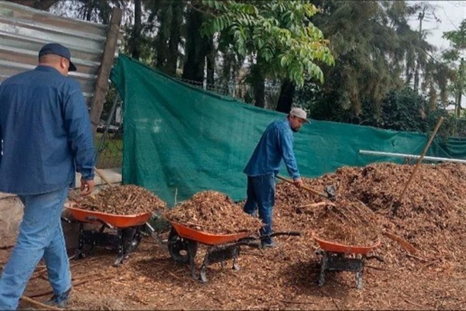 El Ayuntamiento, además, tiene que elaborar un programa de seguimiento que tenga un cronograma con las actividades de reforestación.