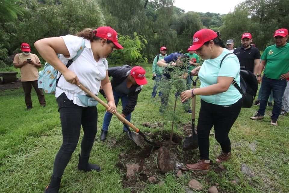 Paralelo a la plantación de árboles, se han lanzado más de 286 mil bombas de semillas de diferentes especies para reforestar zonas.
