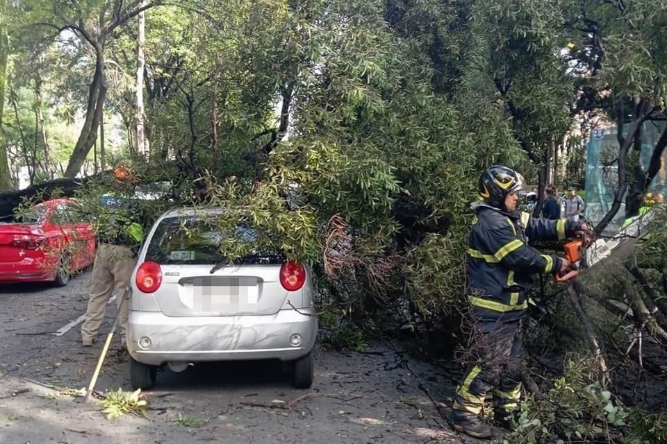 Otro cayó sobre dos vehículos particulares sobre Avenida División del Norte, en Coyoacán.