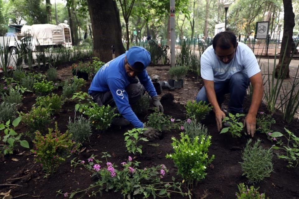 De acuerdo con un permiso de la Alcaldía Cuauhtémoc, se realizarían obras de mitigación en el Parque España.