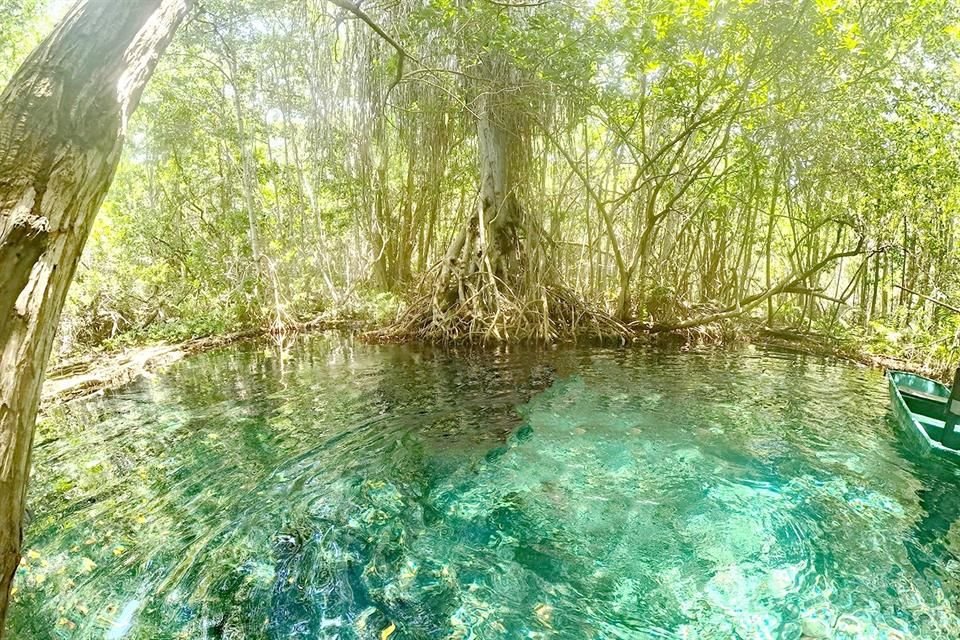 Pasea por un ojo de agua.