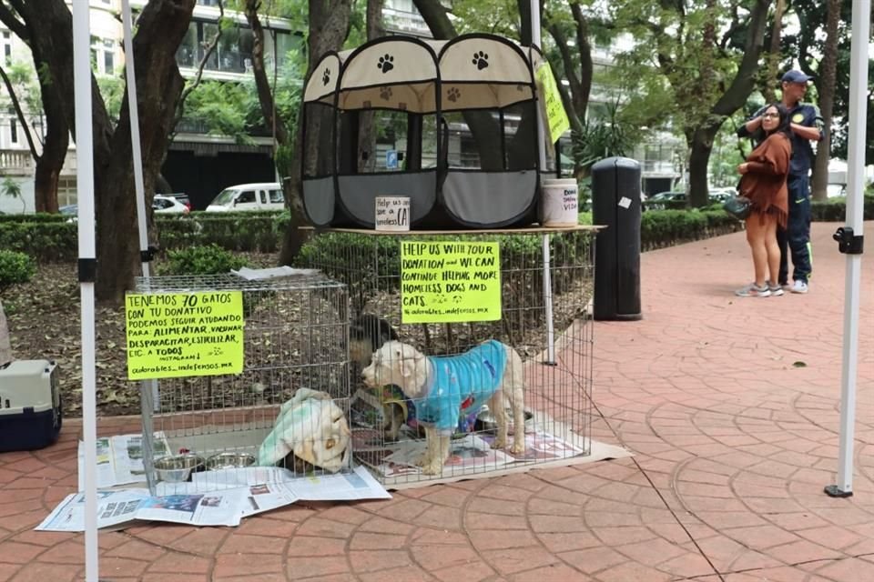 De acuerdo con activistas, perros retenidos en jaulas tienen señales de aburrimiento y deshidratación. 