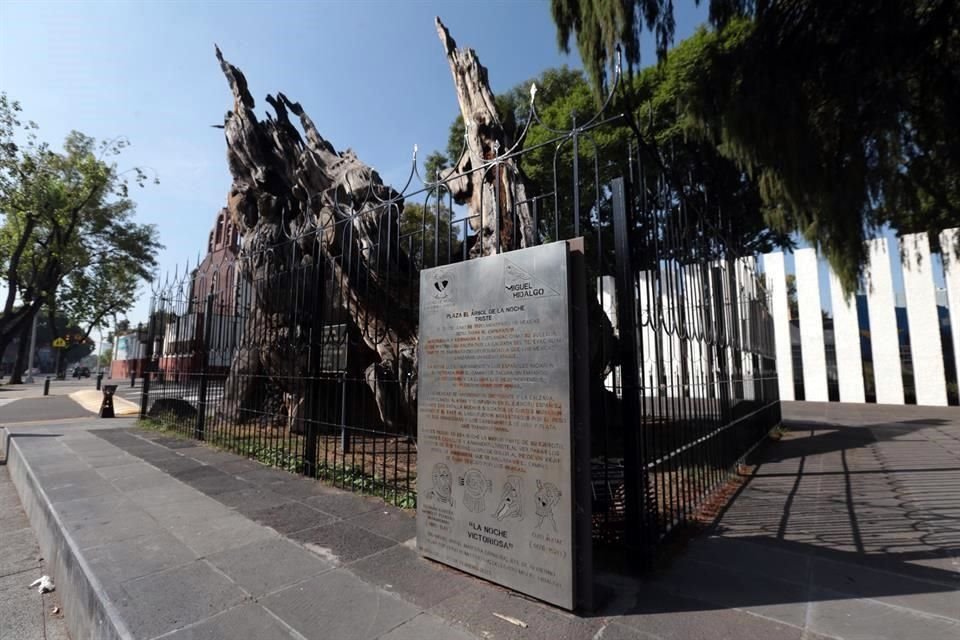 El parque del ahora árbol de la Noche Victoriosa fue remodelado en 2020 y está ubicado en la Alcaldía Miguel Hidalgo.