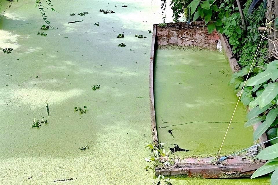 Una canoa abandonada en un canal de poco uso.