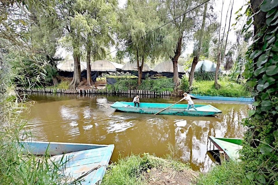 Los agricultores en Caltongo batallan para encontrar agua de riego y canales por donde movilizar sus productos.