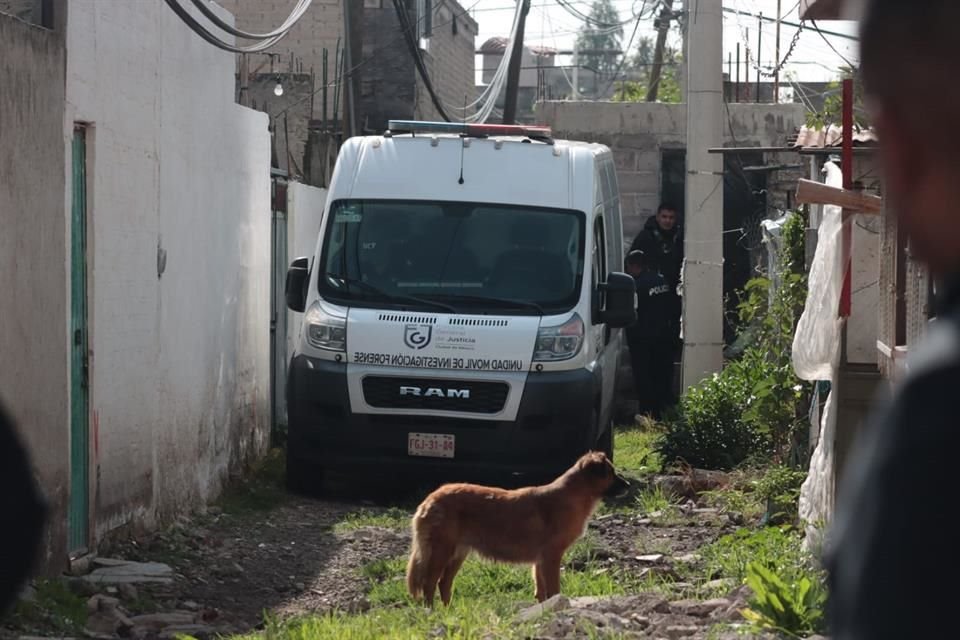 Policías del Sector Tepepan y paramédicos acudieron tras ser alertados, pero sólo confirmaron que el individuo había fallecido. 