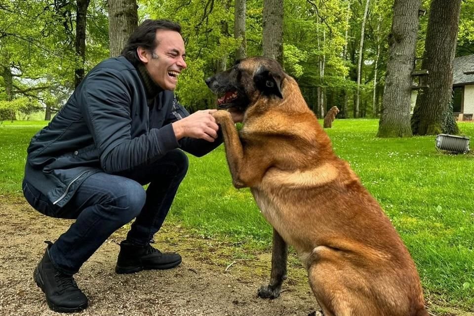 Loubo será cuidado por los hijos de Delon.