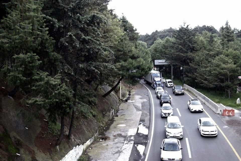 Algunos de los árboles inclinados se encuentran muy cerca del paso vehicular.