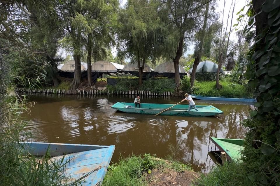 'La solución no es el drenaje, sino buscar zonas bajas, como el Lago de Texcoco, Xochimilco, en donde se pueda derivar el agua, sin afectar a las personas', planteó experto.