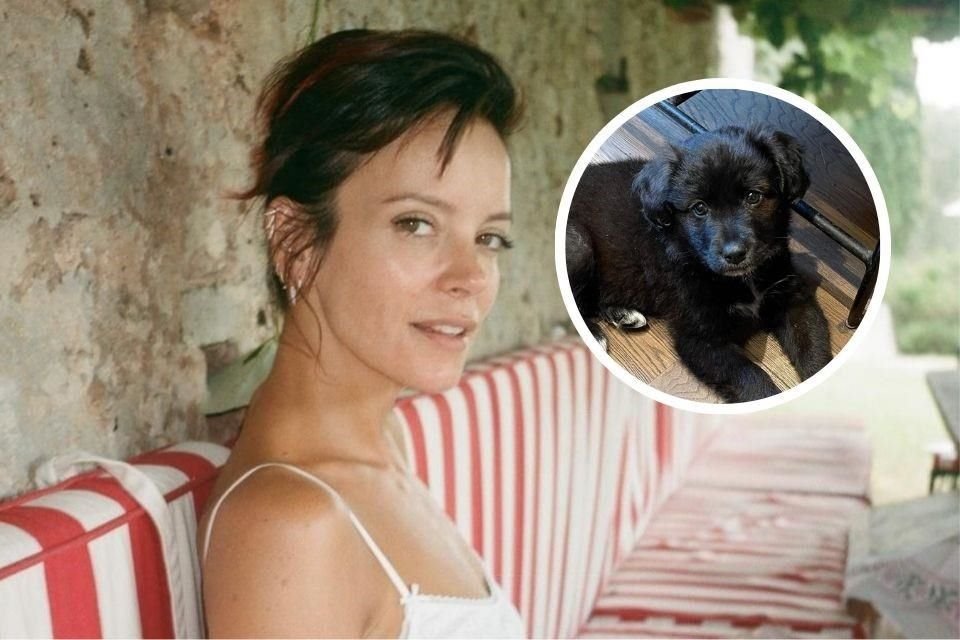 Lily Allen se peleó con la PETA por criticarla después de anunciar que reubicó una cachorra que tenía de mascota debido a su comportamiento.