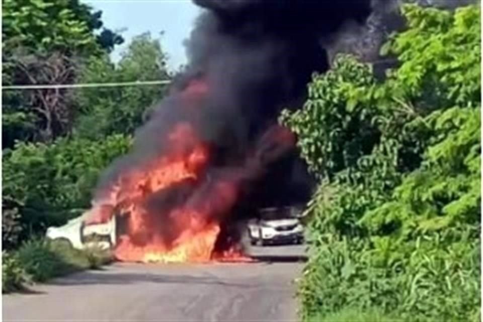 Ola de violencia en Buenavista y Apatzingan causó desplazamiento forzado de decenas de habitantes, la mayoría de ellos productores de limón.