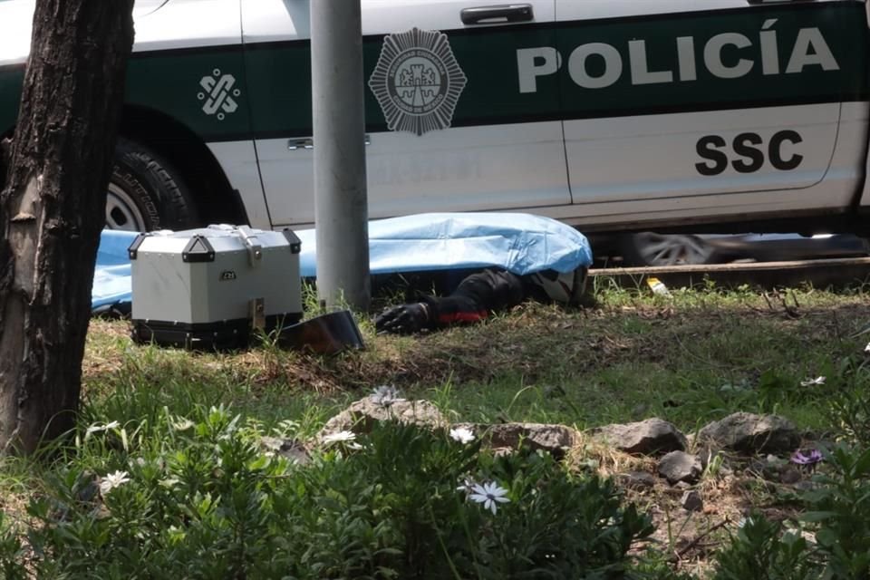 El accidente ocurrió al filo del mediodía frente al Palacio de los Deportes.