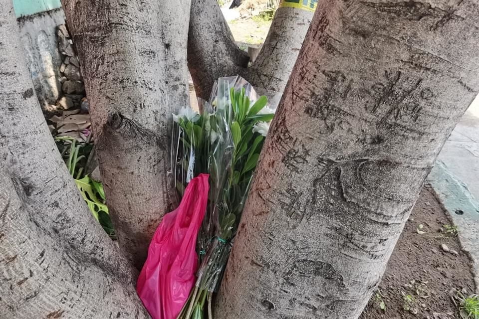 Según testimonios de personas también en situación vulnerable que habitan en ese camellón, la mujer estaba en la zona desde hace más de una semana.