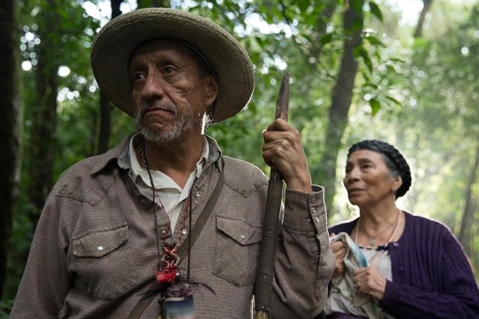 Su trabajo en 'Sueño en Otro Idioma' lo consolidó como un actor de primer nivel al ganar un premio en el Festival Internacional de Cine de Guadalajara.