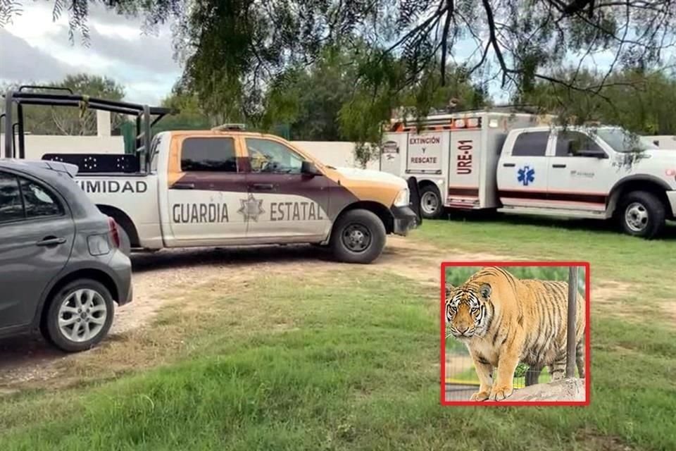 Intensa movilización de corporaciones de auxilio se registró en la entrada de La Quinta La Fauna, de donde escapó el felino, cuya foto aparece en la página de Facebook del zoológico.