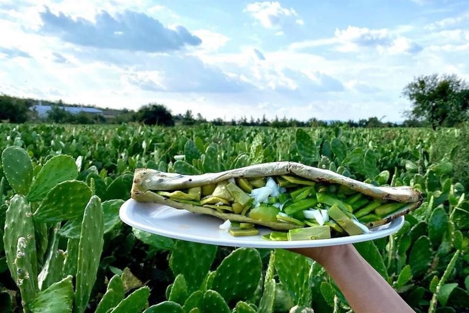 Para disfrutar de este platillo de la manera más adecuada, se recomienda acompañarlo con tortillas de maíz y agua de tuna.