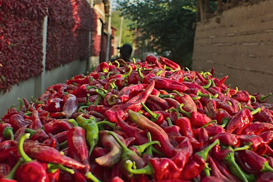 Chile, atún, sal, plátano, cerdo, arroz, café y maíz son los ingredientes  que aborda 'Omnivore'.