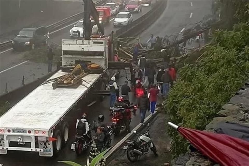 La caída del árbol se registró por la mañana en la Carretera a Toluca.