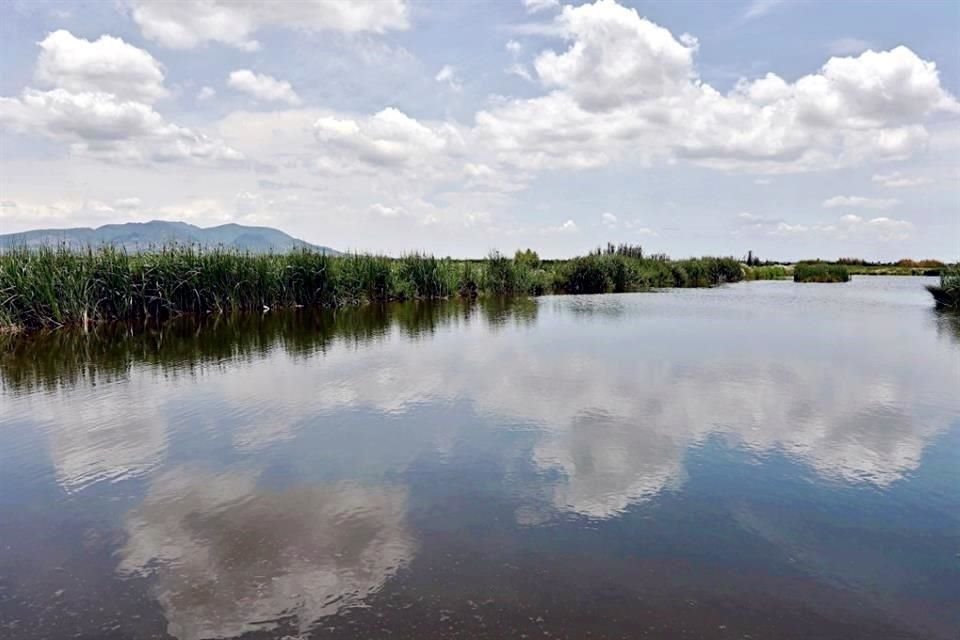 La dirección del Parque aseguró que la contingencia está prácticamente resuelta