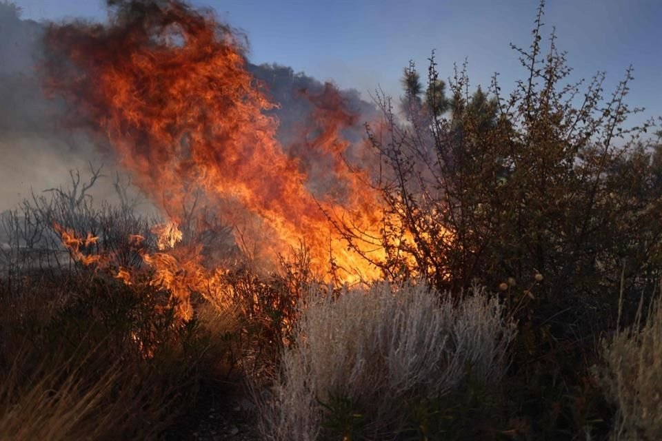 Flamas consumen la vegetación en Pinon Hills, el 11 de septiembre del 2024.