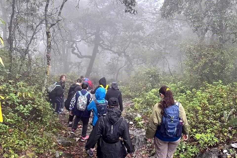 El turismo sustentable debe incluir el respeto a las comunidades locales, debe ser rentable para todos y se tiene que privilegiar el cuidado al planeta.