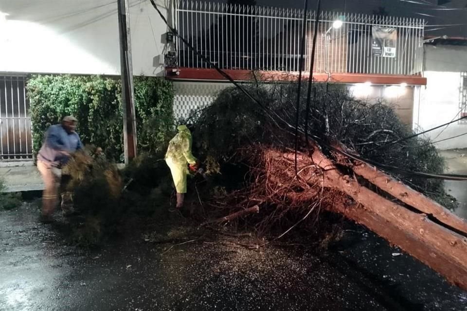 Personal de la Alcaldía atendió la caída de árboles en Calle Moctezuma, Calzada de Tlalpan y Tezoquipa.