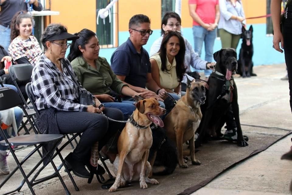 Ocho perritos fueron inscritos, con distintos propósitos, a este taller.