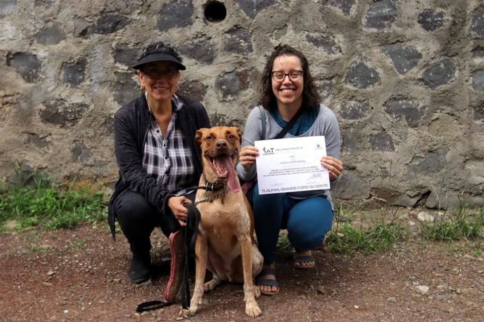 Durante el fin del curso, los canes dieron una demostración de sus habilidades para encontrar a sus humanos.