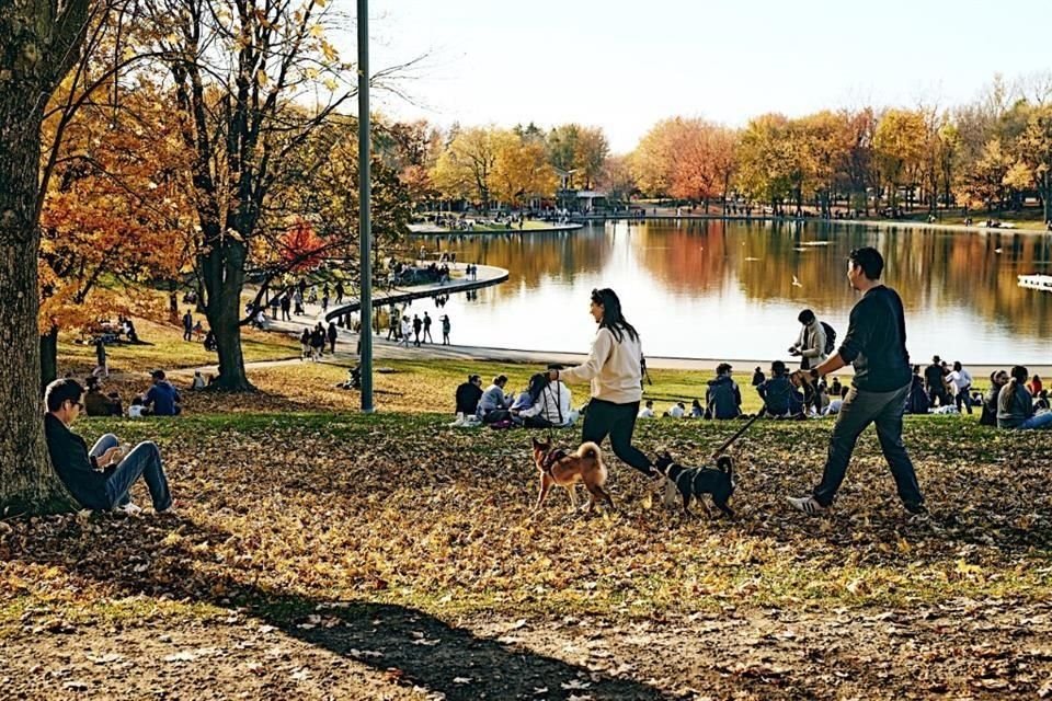 En esta temporada, algunos destinos del orbe presumen paisajes de ensueño como Vermont, Montreal, Salem.