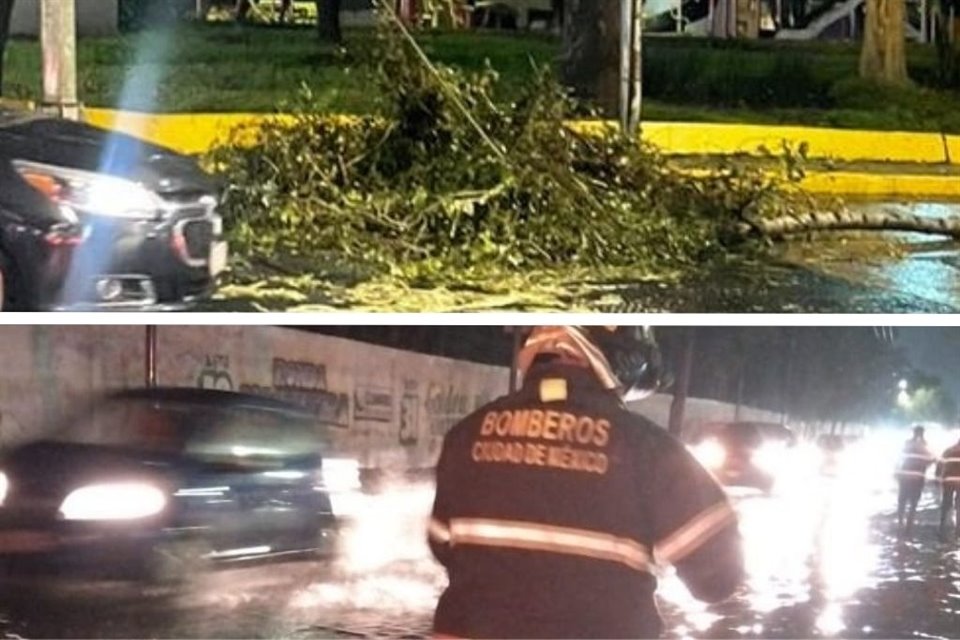 Lluvias generalizadas en CDMX han provocado encharcamientos, caída de árboles y servicio lento en el transporte público durante este sábado.