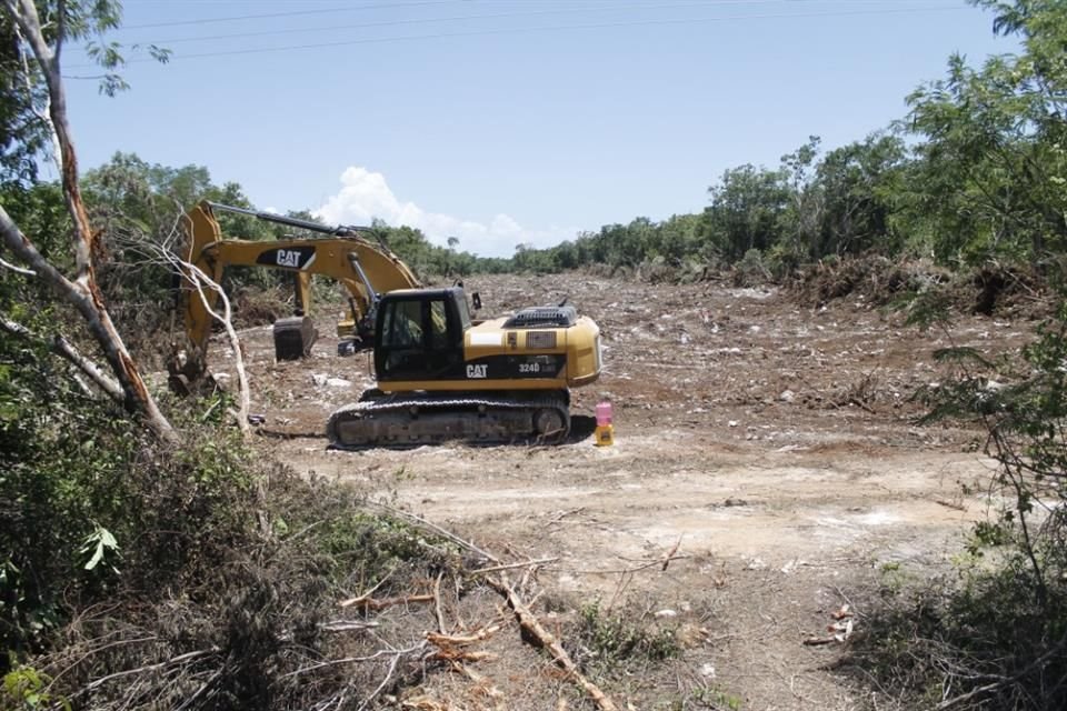 Con aval de autoridades, Sedena eliminó 219.5 hectáreas de selva para 4 bancos de extracción de materiales pétreos en varios puntos de QR.