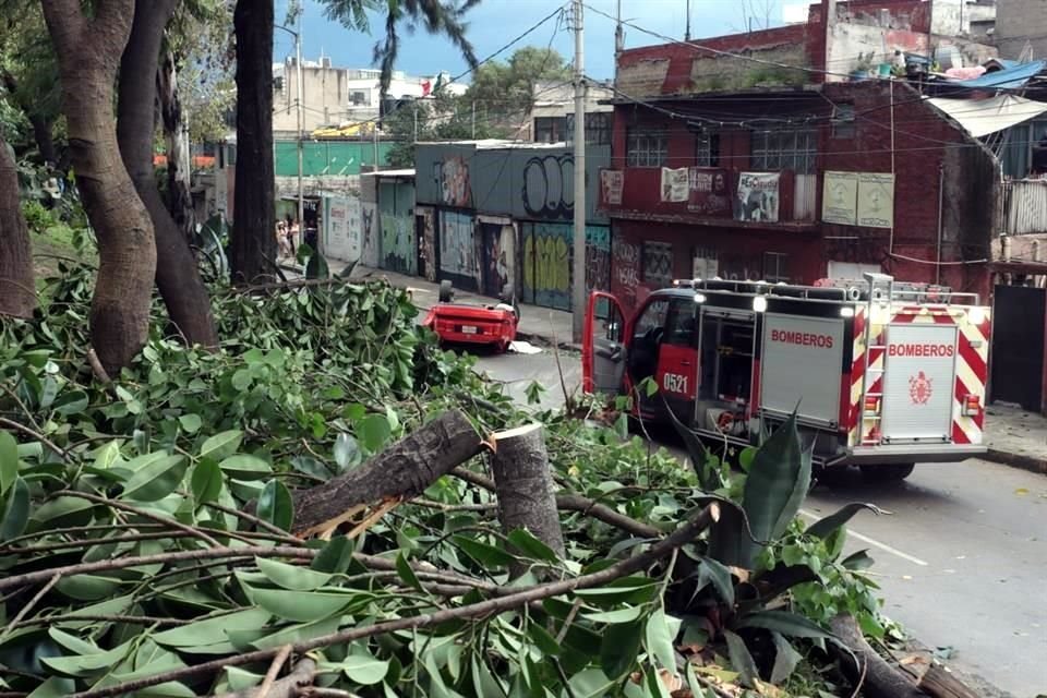 El vehículo chocó contra la motocicleta, otro auto y finalmente impactó un árbol.